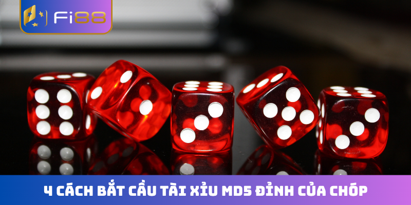 4 cách bắt cầu Tài Xỉu MD5 đỉnh của chóp