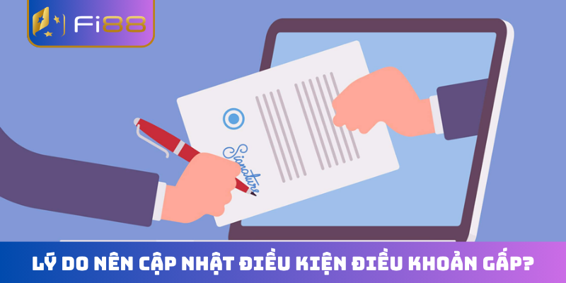Lý do nên cập nhật điều kiện điều khoản gấp?