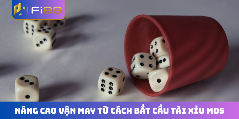 Nâng cao vận may từ cách bắt cầu Tài Xỉu MD5