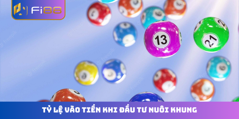 Tỷ lệ vào tiền khi đầu tư nuôi khung